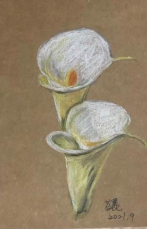 LINE_ALBUM_110.111年吳興樂齡色鉛插畫～秘密花園_220715_156
