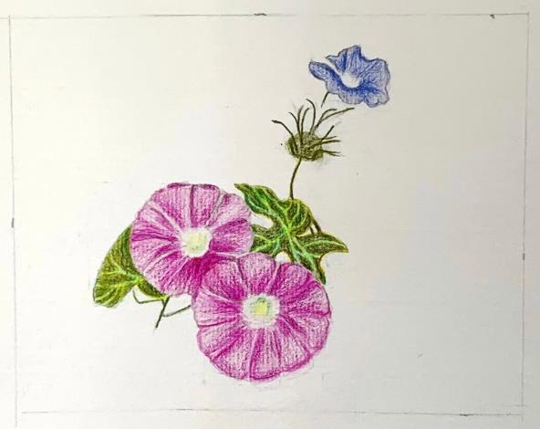 LINE_ALBUM_110.111年吳興樂齡色鉛插畫～秘密花園_220715_8