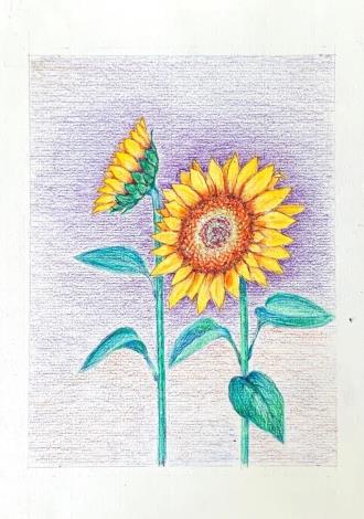 LINE_ALBUM_110.111年吳興樂齡色鉛插畫～秘密花園_220715_93