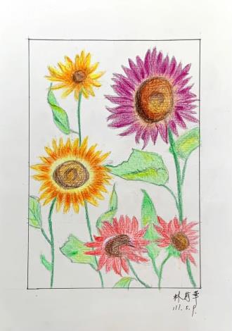 LINE_ALBUM_110.111年吳興樂齡色鉛插畫～秘密花園_220715_102