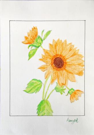 LINE_ALBUM_110.111年吳興樂齡色鉛插畫～秘密花園_220715_104