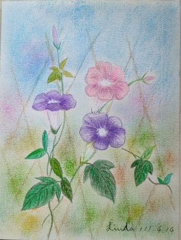 LINE_ALBUM_110.111年吳興樂齡色鉛插畫～秘密花園_220715_4