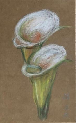 LINE_ALBUM_110.111年吳興樂齡色鉛插畫～秘密花園_220715_152