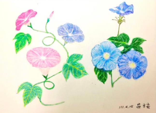 LINE_ALBUM_110.111年吳興樂齡色鉛插畫～秘密花園_220715_106