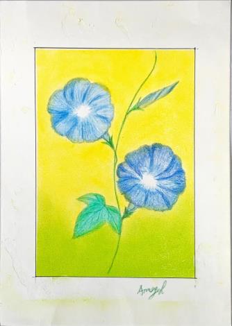 LINE_ALBUM_110.111年吳興樂齡色鉛插畫～秘密花園_220715_20