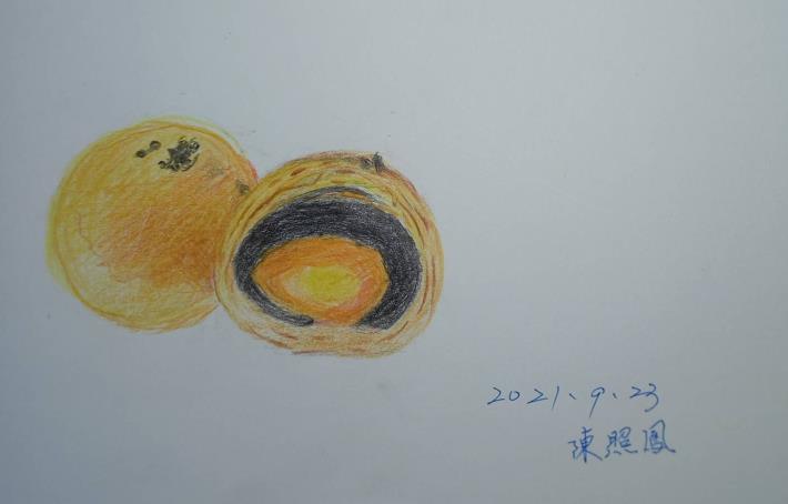 LINE_ALBUM_110.111年吳興樂齡色鉛插畫～秘密花園_220715_144