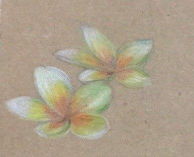 LINE_ALBUM_110.111年吳興樂齡色鉛插畫～秘密花園_220715_185