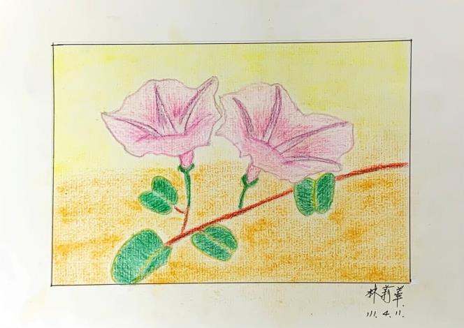 LINE_ALBUM_110.111年吳興樂齡色鉛插畫～秘密花園_220715_24
