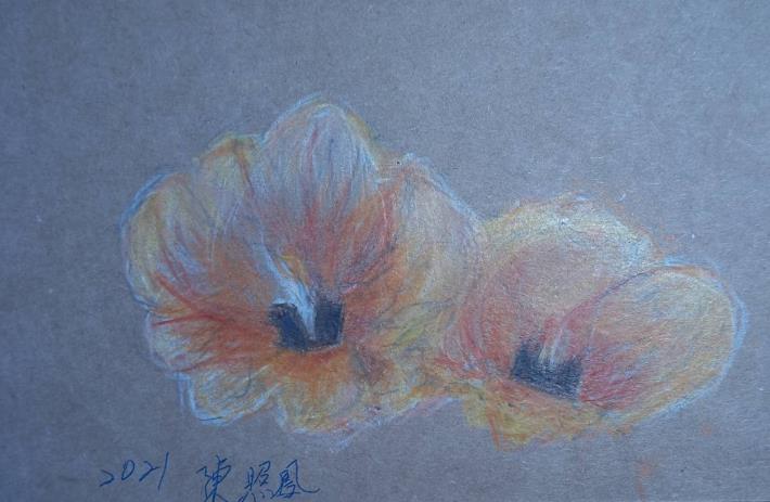 LINE_ALBUM_110.111年吳興樂齡色鉛插畫～秘密花園_220715_191