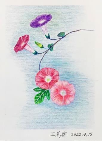 LINE_ALBUM_110.111年吳興樂齡色鉛插畫～秘密花園_220715_13