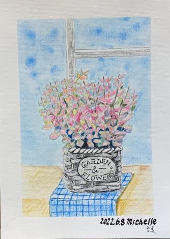 LINE_ALBUM_110.111年吳興樂齡色鉛插畫～秘密花園_220715_44