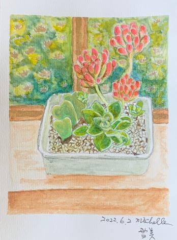LINE_ALBUM_110.111年吳興樂齡色鉛插畫～秘密花園_220715_49