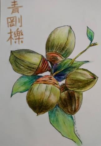 LINE_ALBUM_手繪pop~玩美象山110.111作品_220715_11