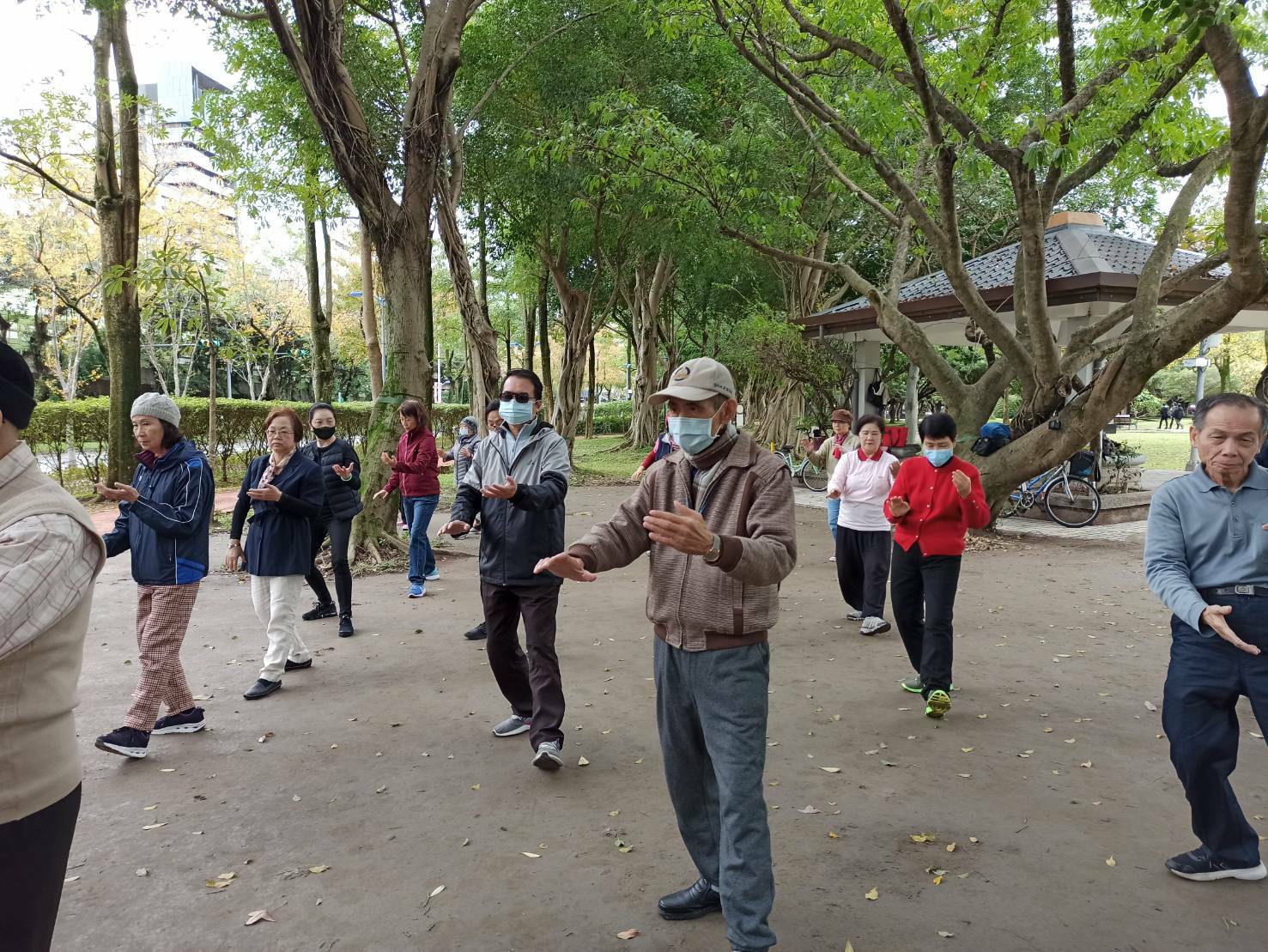 樂齡太極拳