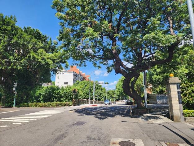 義方國小-珠海路159號前修剪-後