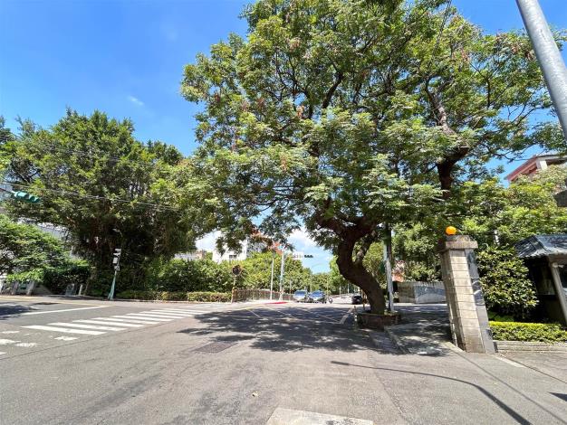 義方國小-珠海路159號前修剪1-前