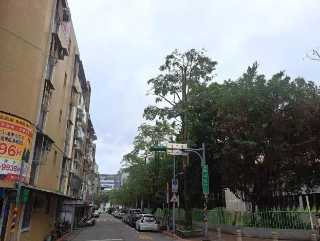 114.3.7麗山國小-後((全樹行修剪))