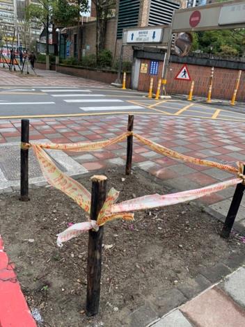 空樹穴封穴-前照