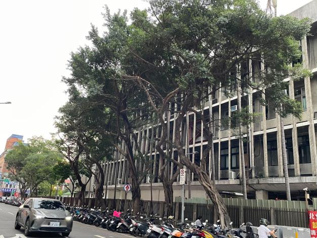 台大醫院北護分院行道樹修剪改善後02