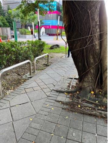 序號205榮總竄根前2.JPG