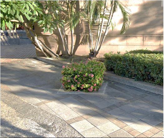 序號218天母西路封穴前1.JPG
