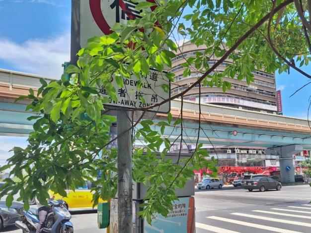 04忠孝東路四段4號移除低-垂枝- (2)-1130530