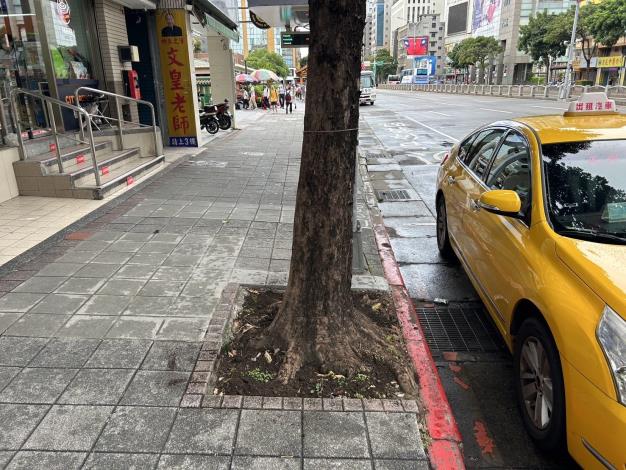 松江路361號樹穴缺土改善後