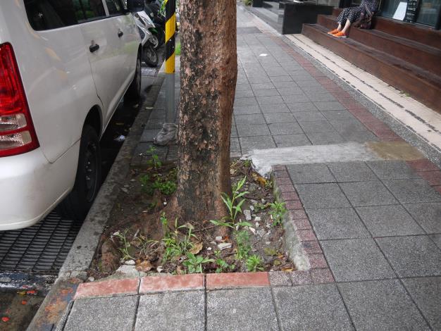 松江路363號樹穴缺土改善前-1.JPG