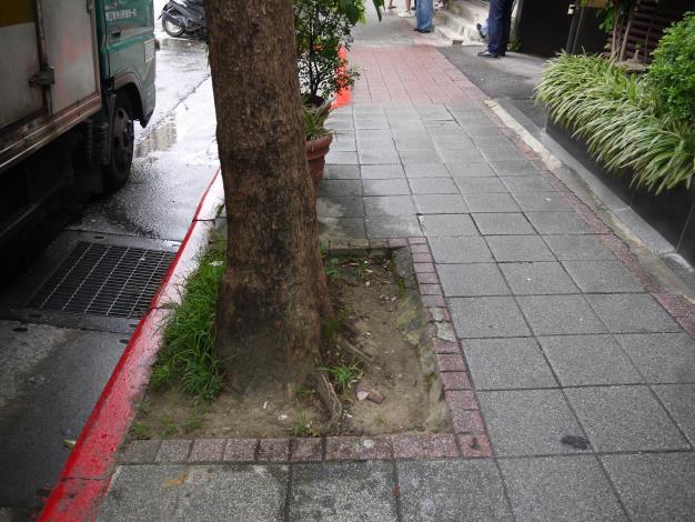 松江路365號樹穴缺土改善前.JPG