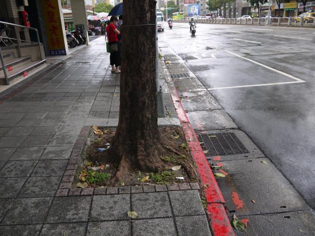 松江路361號樹穴缺土改善前.JPG