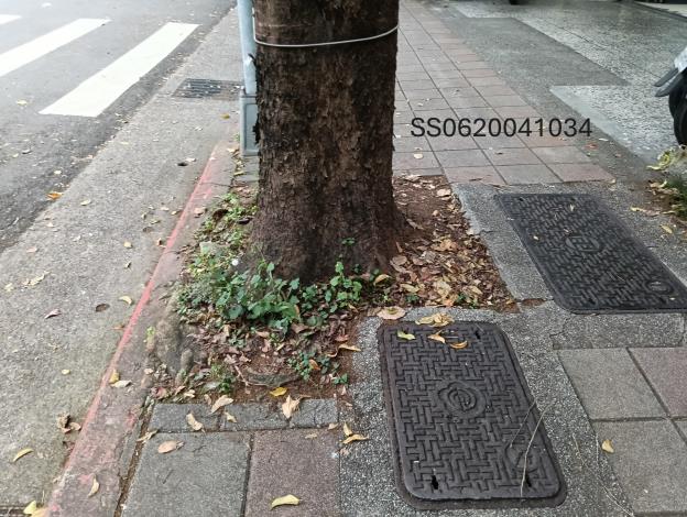 松山區健康路206號人行道1