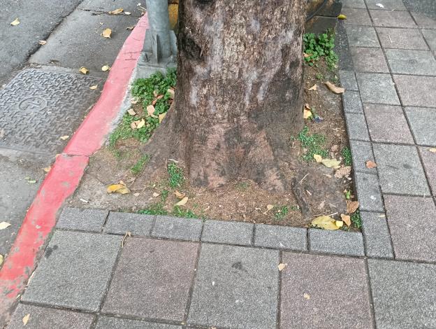 松山區健康路220號人行道1