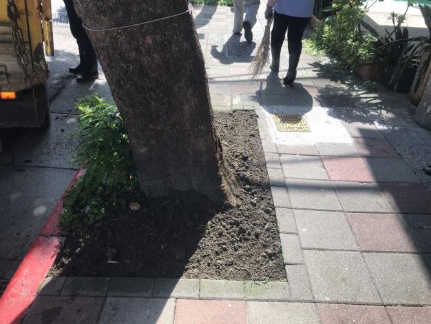 V松山區健康路174號人行道2