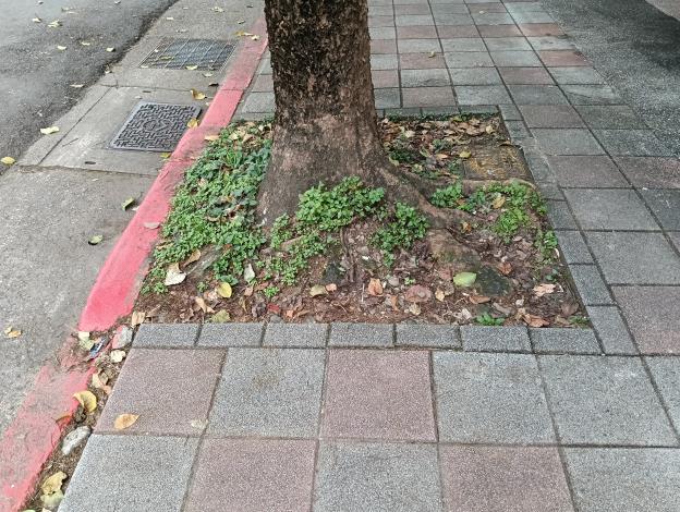 松山區健康路182號人行道1