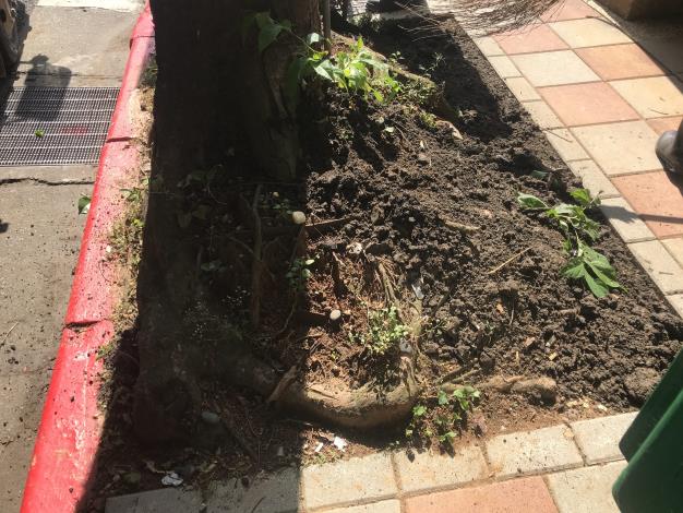 V松山區健康路(三民路口)人行道(信合美眼科前)2