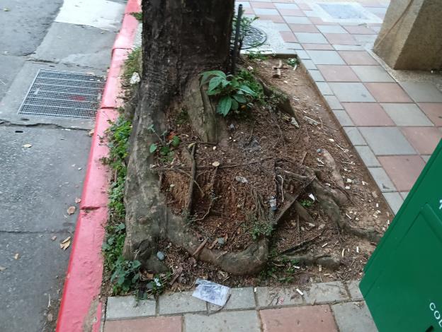 V松山區健康路(三民路口)人行道(信合美眼科前)1