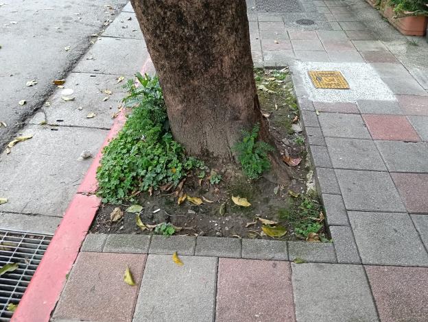 V松山區健康路174號人行道1