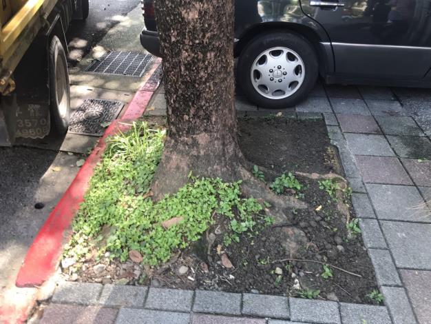 松山區健康路182號人行道2-1140514