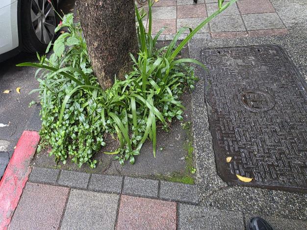 松山區健康路240號人行道1