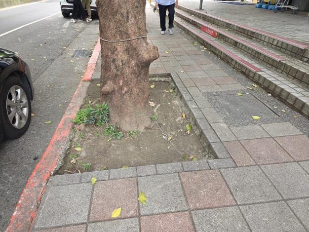 松山區健康路399號人行道-1