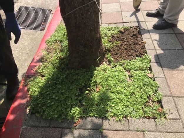 松山區健康路329號人行道6-1140513