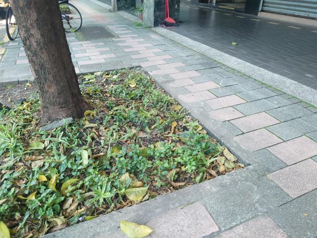 中山區民族東路12號1