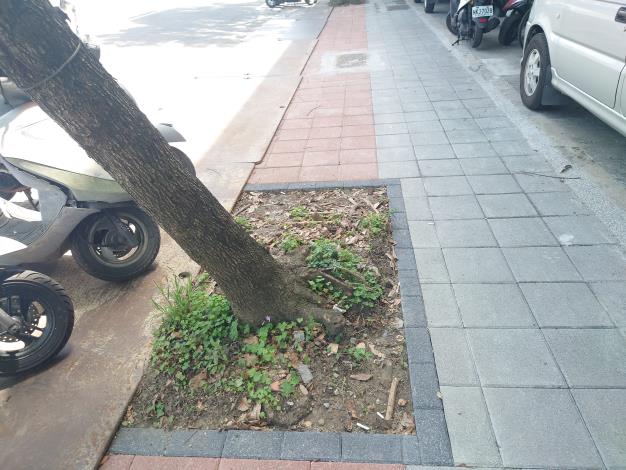 中山區民族東路268號1