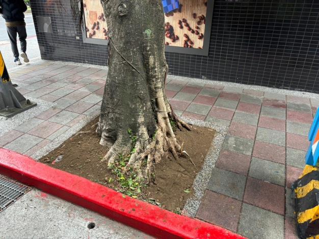 08松山區台北市精忠里民生東路四段97巷1-2號旁（×3樹穴）