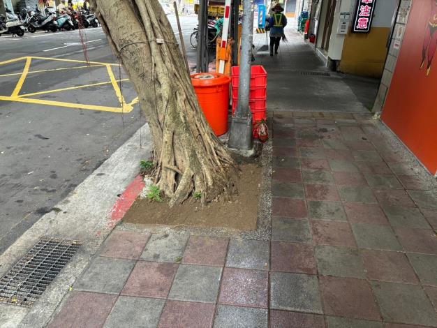 06松山區台北市精忠里民生東路四段97巷1-2號旁（×3樹穴）