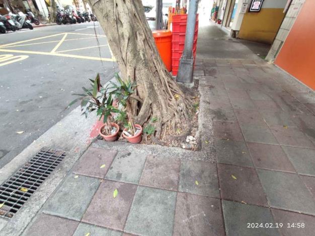 05松山區台北市精忠里民生東路四段97巷1-2號旁（×3樹穴）