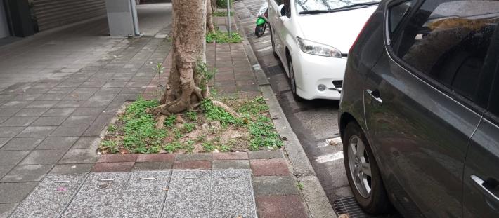 V光復北路175號人行道-01