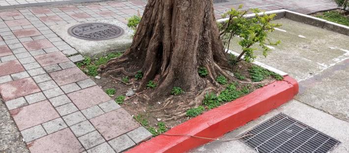 V光復北路35號-21088-缺土-01