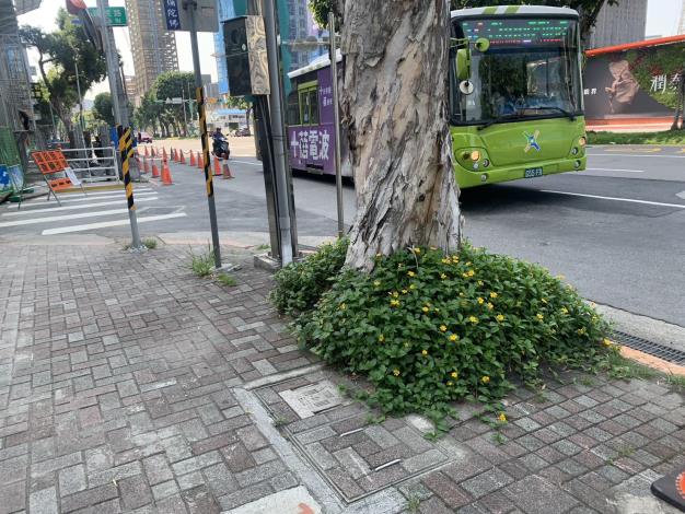 文林北路(建民路口)V