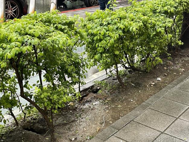 V07松山區南京東路三段262號人行道